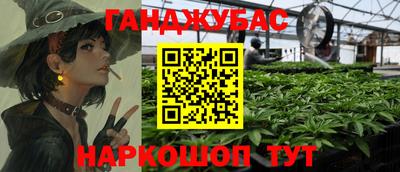 стаф Гулькевичи