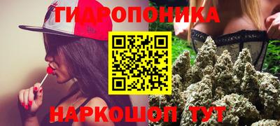 крисы Волгодонск