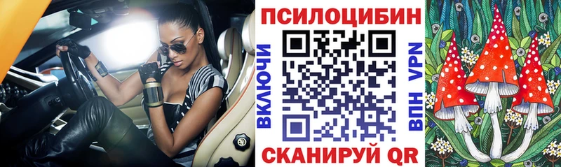 Галлюциногенные грибы Cubensis  Белореченск 