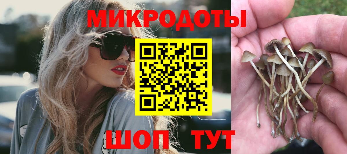 Галлюциногенные грибы мицелий  Вход с VPN  Белореченск 