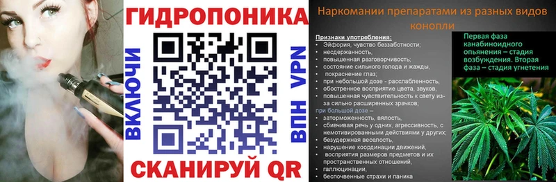 Шишки марихуана THC 21%  omg зеркало  Белореченск  где можно купить наркотик 